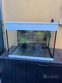 Askoll pure led l