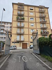 Camere singole in appartamento a Studenti a FERMO