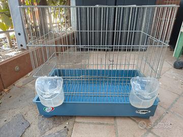 gabbietta per uccelliini