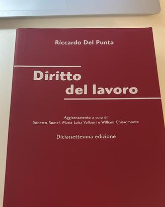Libro dirittto del lavoro