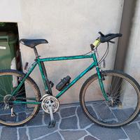Bicicletta Mountain bike