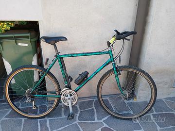 Bicicletta Mountain bike