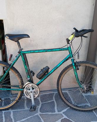Bicicletta Mountain bike
