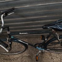 Bicicletta bianchi per adulti 