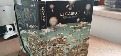 Raccolta DVD e Cd di Ligabue