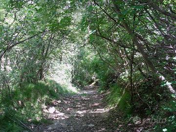 Terreno agricolo via Garganeghe