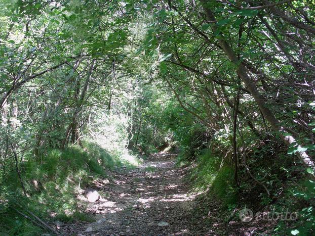 Terreno agricolo via Garganeghe