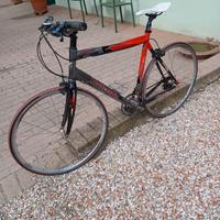 Bottecchia Raptor 🚲