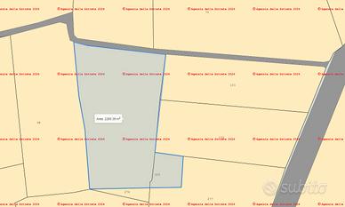 Terreno agricolo a Conversano