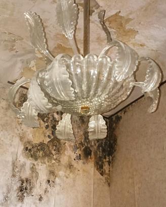 lampadario a foglie di vetro di Murano 