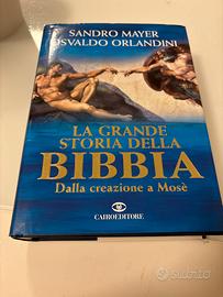 La grande storia della Bibbia. Dalla creazione a M