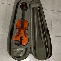violino 