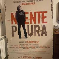 Ligabue cartonato doppio Niente Paura docufilm