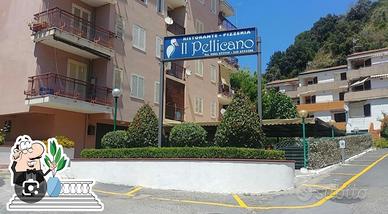 Appartamento cetraro