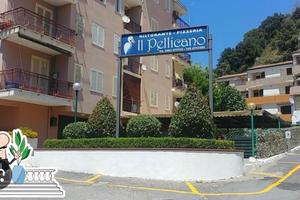 Appartamento cetraro