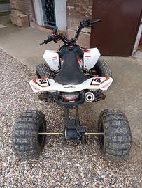 quad 125 cc profive