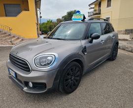 Mini Cooper D Countryman Mini 2.0 Cooper D Country