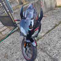 Aprilia RS 50 2009