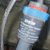 riscaldatore per acquari EHEIM Jäger