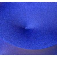 Giuseppe Amadio estroflessione su tela