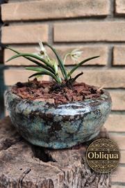 vaso ceramica