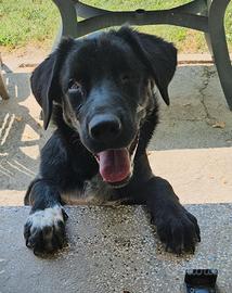 Oliver, 5 mesi