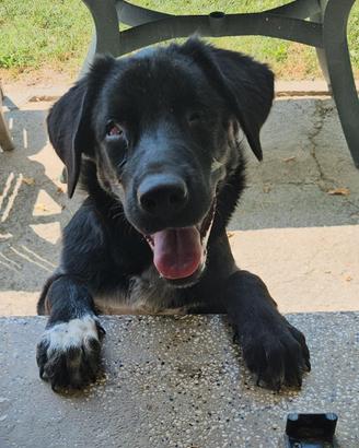 Oliver, 5 mesi