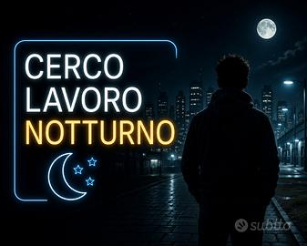 Candidatura per lavoro notturno / Autista consegne