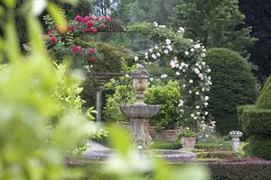 Villa a Abano Terme (PD)