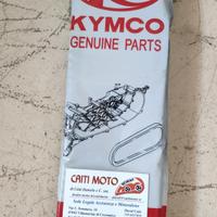 Cinghi Trasmissione Kymco per AK 550