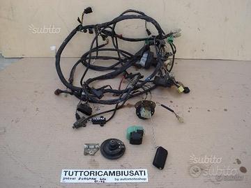 Impianto elettrico suzuki burgman 250 400 entra
