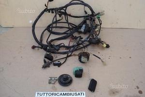 Impianto elettrico suzuki burgman 250 400 entra