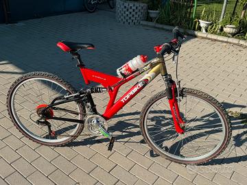 Mountain bike