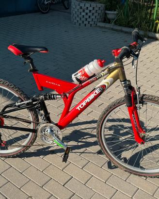 Mountain bike