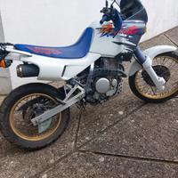Honda dominator 650  anno 1994