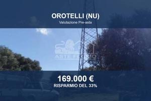 Immobile in asta di 315654 m² a Orotelli
