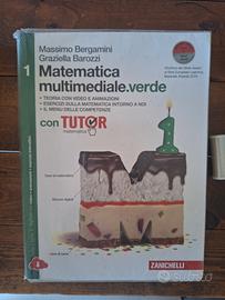 Libro Matematica Multimediale Verde 1