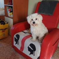Manutenzione edile
