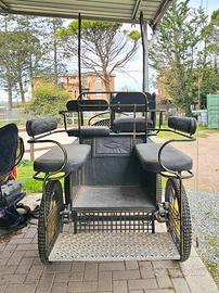 carrozza vagonette training