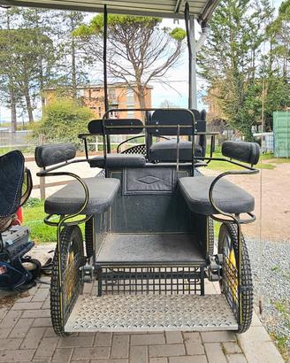 carrozza vagonette training