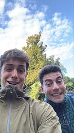 Stupenda coppia procioni maltesi maschi