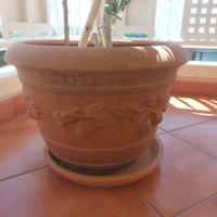 Vasi e piante grasse ,alzatine, composizioni, succ