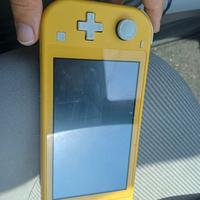 Nintendo switch lite
