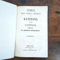 storia dell’Antico Castello di Gavinana, 1848