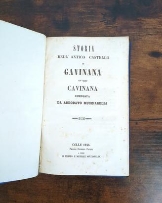 storia dell’Antico Castello di Gavinana, 1848