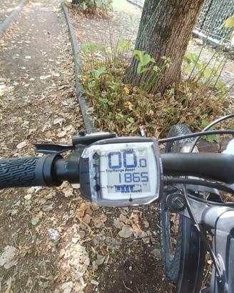 Scott 910 elettrica 
