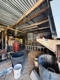 Svuoto Caponno atrezzi e garage