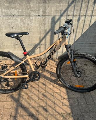 MTB GIANT 24 pollici ragazzo