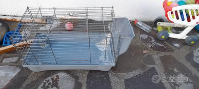 gabbia per conigli