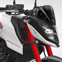 Cupolino hornet 750